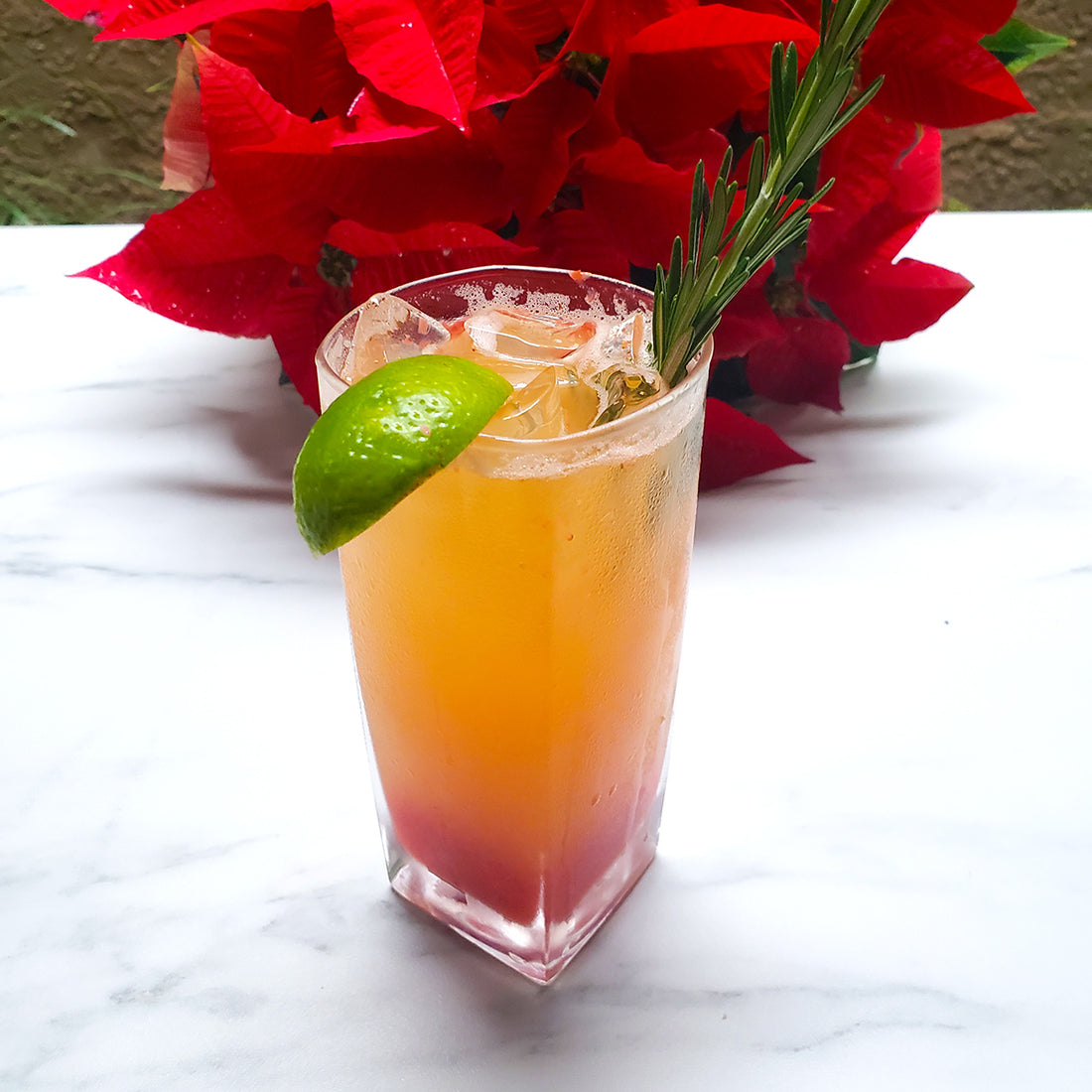 Drinking During the Holidays? Choose What's Right For You!