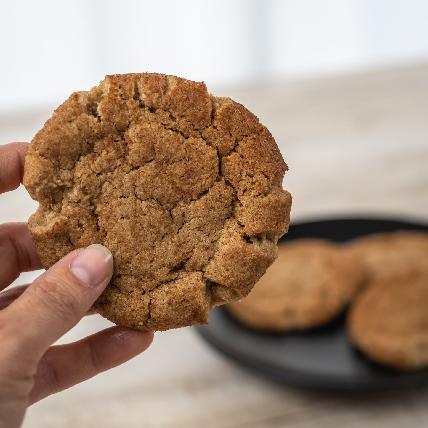 AIP Snickerdoodles