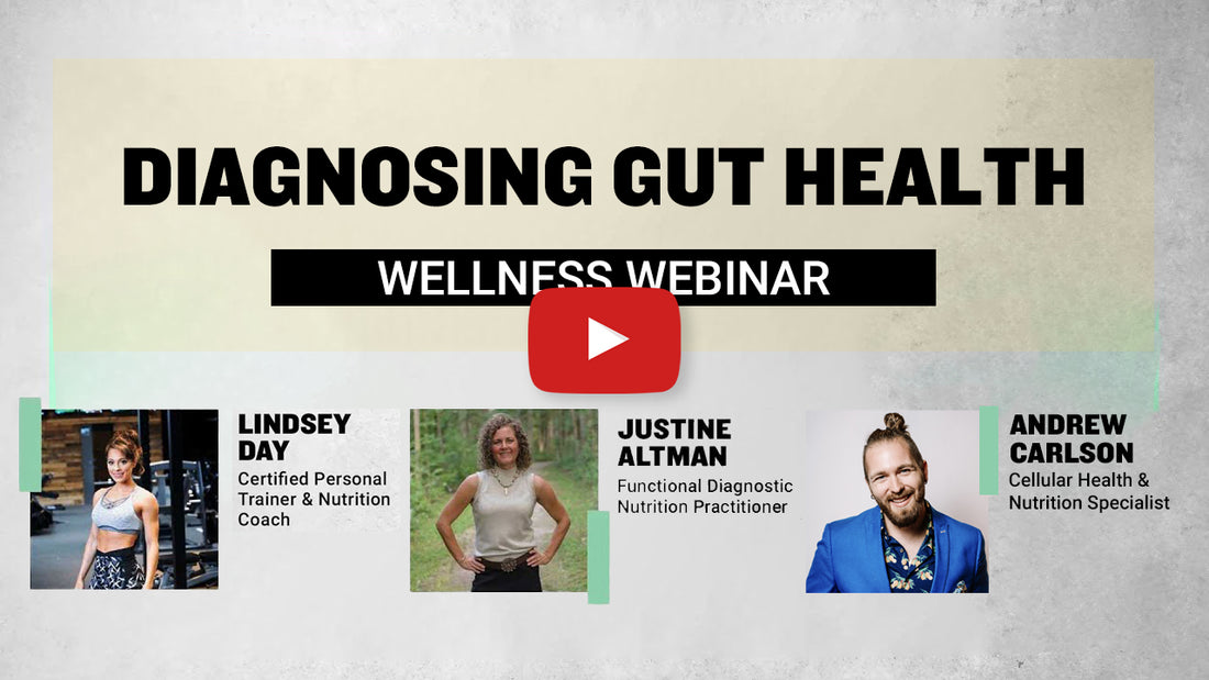 Diagnosing Gut Health Free Functional Medicine Webinar