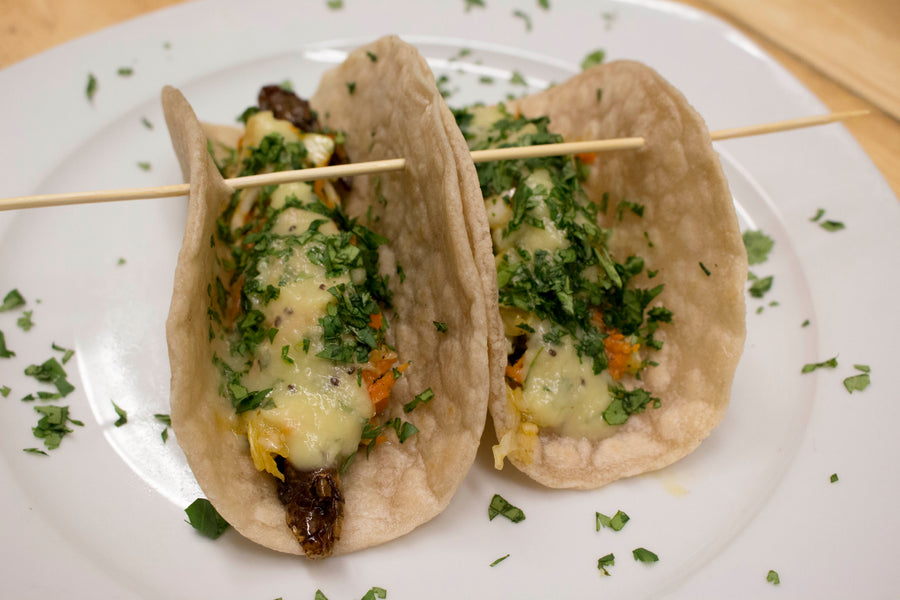 Are Grasshopper Tacos the Food of the Future?